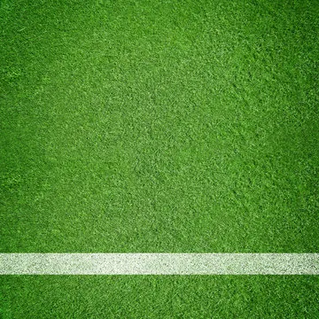 精彩的社区活动 🎉