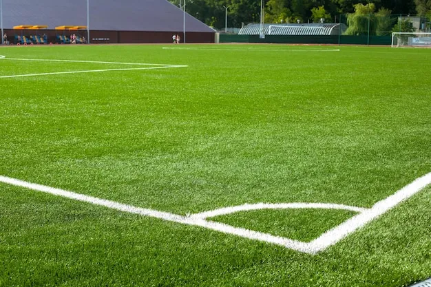 <strong>社区成长：</strong>活跃度飞跃 📈